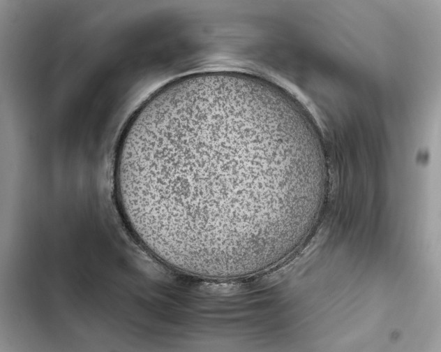 X0000103411415200810031236