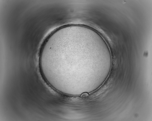 X0000103411416200810031236