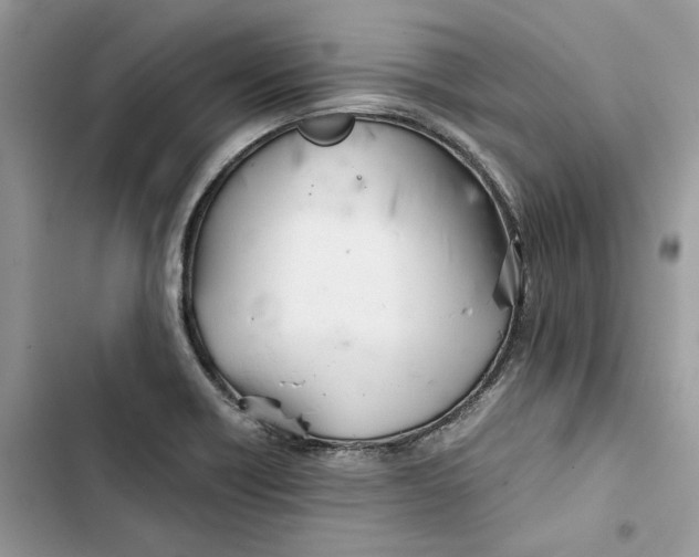 X0000103411418200810031236