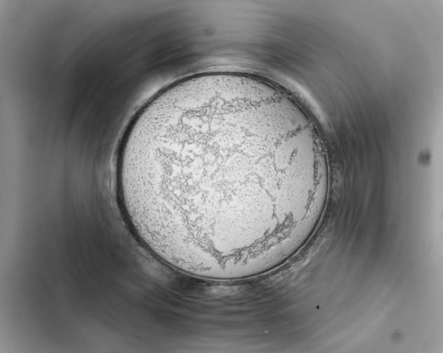 X0000103411419200810031236