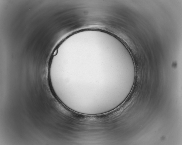 X0000103411420200810031236