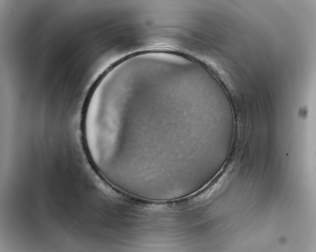 X0000103411422200810031236