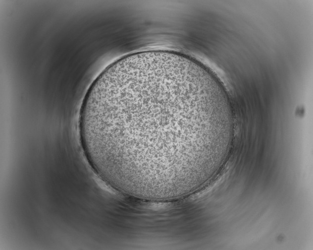 X0000103411423200810031236