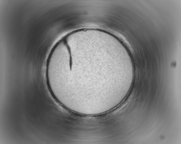 X0000103411424200810031236