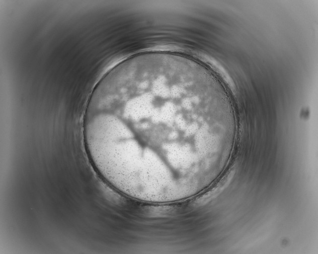 X0000103411425200810031236