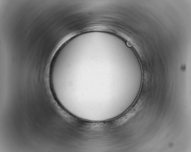 X0000103411426200810031236