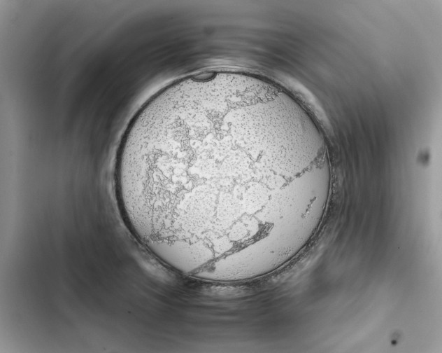 X0000103411427200810031236