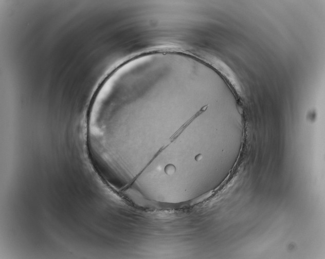 X0000103411428200810031236