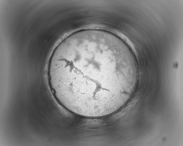 X0000103411429200810031236