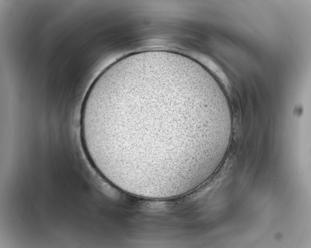 X0000103411431200810031236