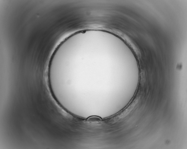 X0000103411432200810031236