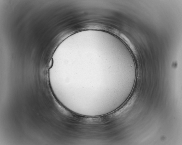 X0000103411433200810031236