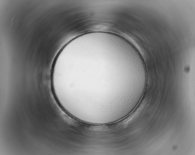 X0000103411434200810031236