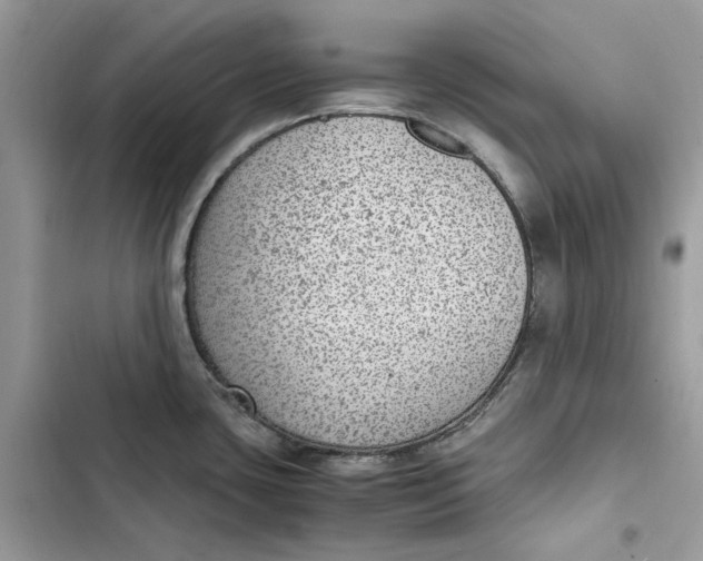 X0000103411435200810031236