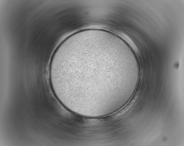 X0000103411436200810031236