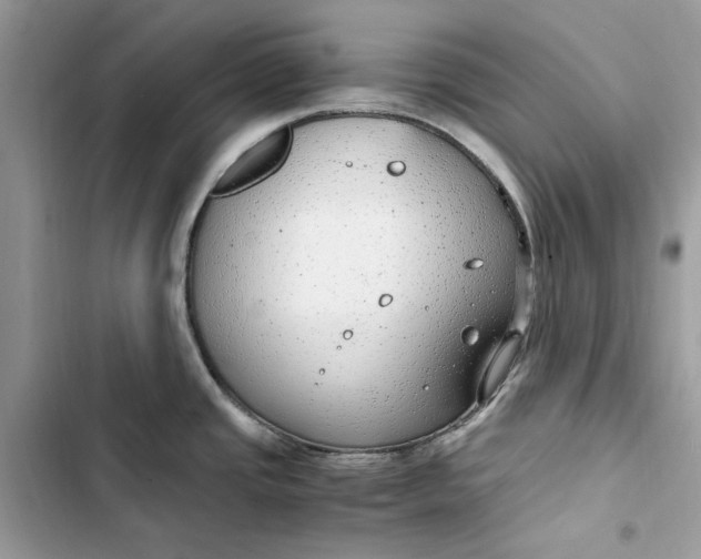 X0000103411437200810031236