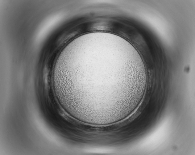 X0000103411438200810031236