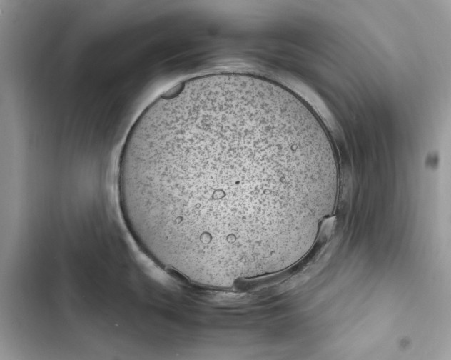 X0000103411439200810031236