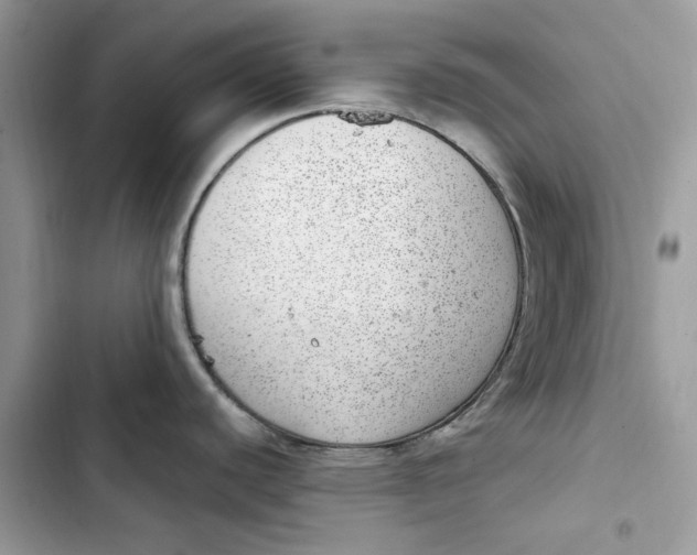 X0000103411440200810031236