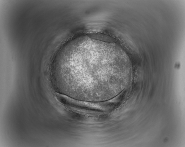 X0000103411441200810031236