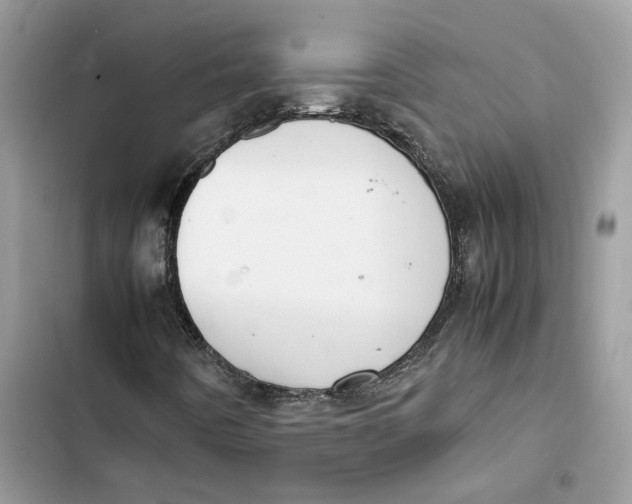 X0000103411442200810031236