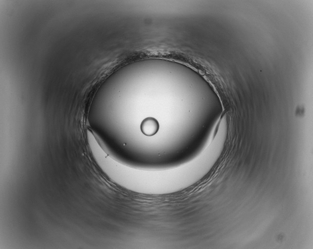 X0000103411444200810031236