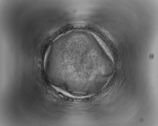 X0000103411445200810031236