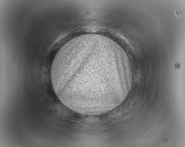 X0000103411446200810031236