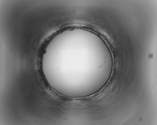 X0000103411448200810031236