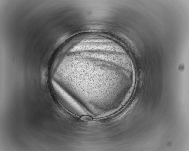 X0000103411449200810031235