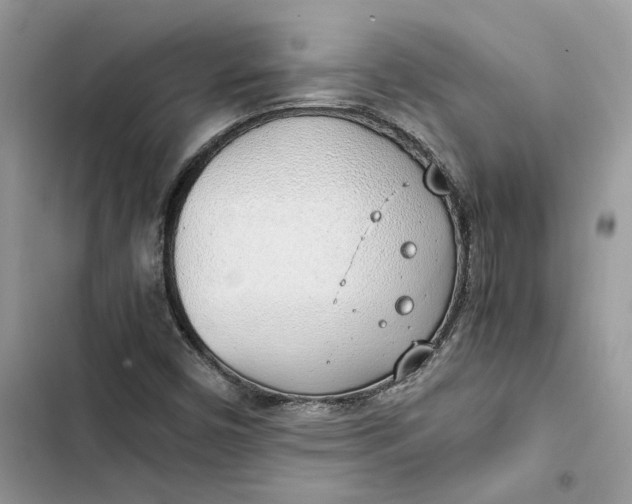 X0000103411450200810031235