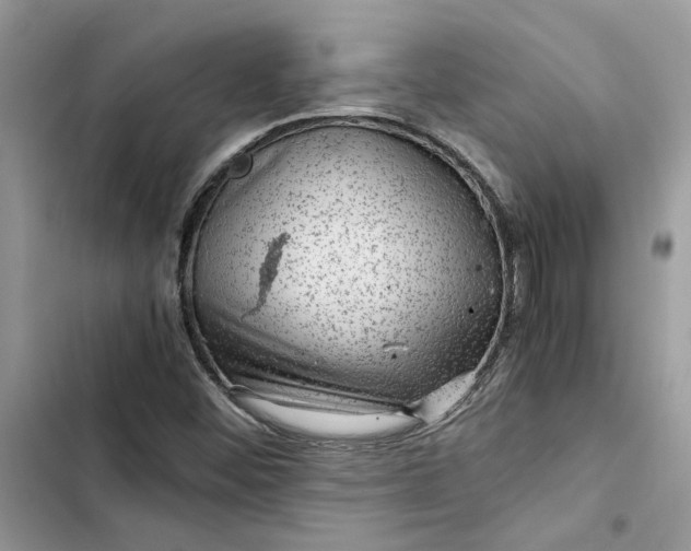 X0000103411452200810031235