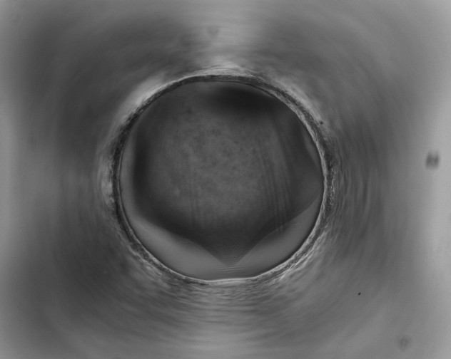 X0000103411455200810031235