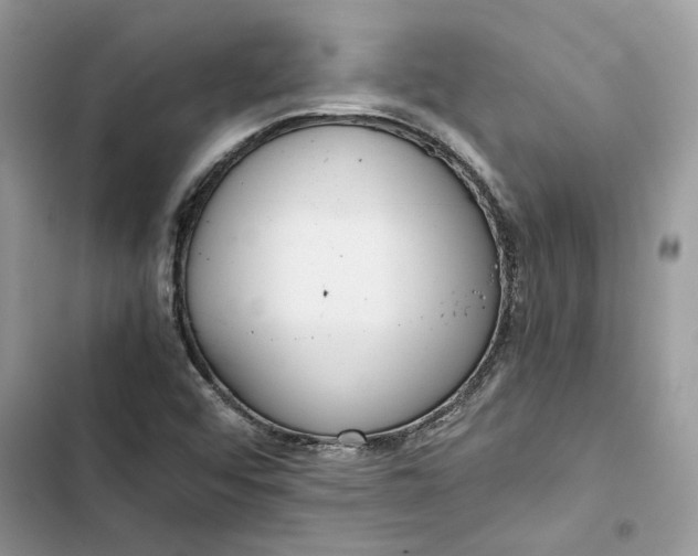 X0000103411456200810031235