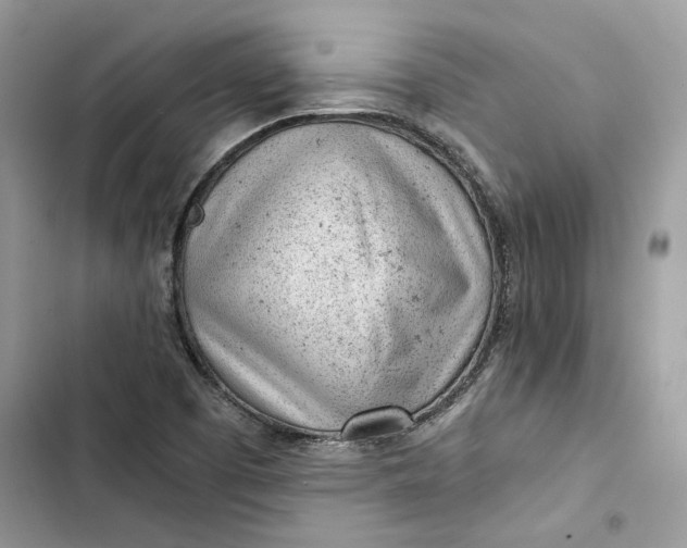 X0000103411457200810031235