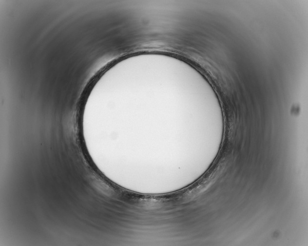 X0000103411458200810031235