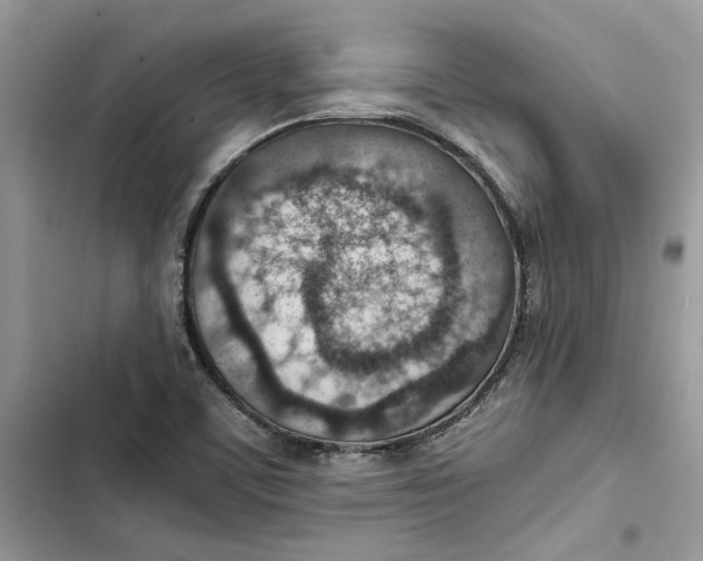 X0000103411459200810031235