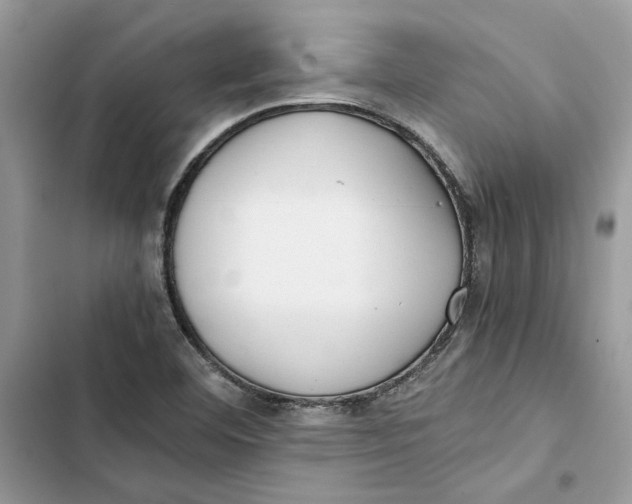 X0000103411460200810031235