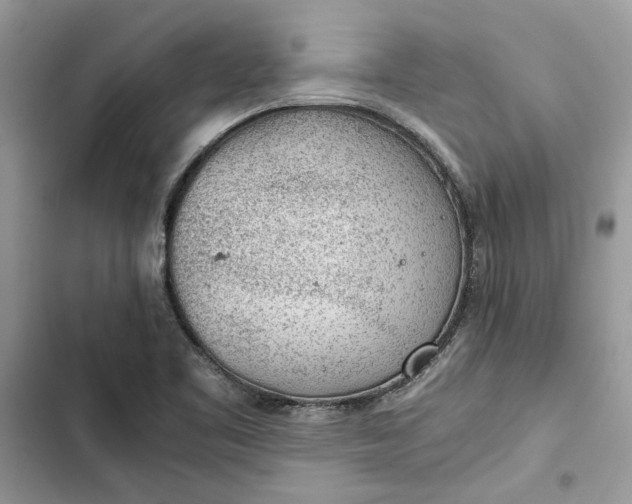 X0000103411461200810031235