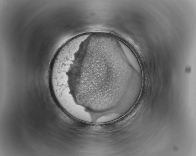 X0000103411463200810031235