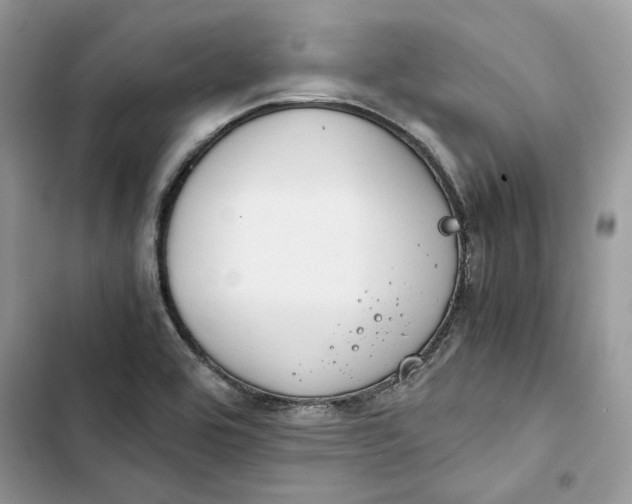 X0000103411464200810031235