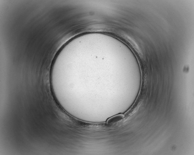 X0000103411465200810031235