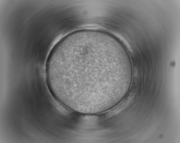 X0000103411466200810031235