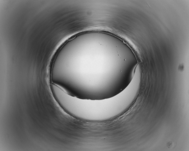 X0000103411468200810031235