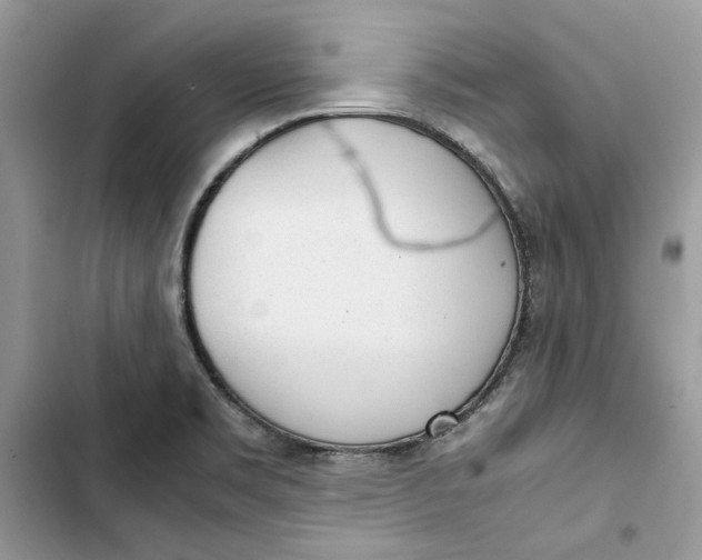 X0000103411469200810031235