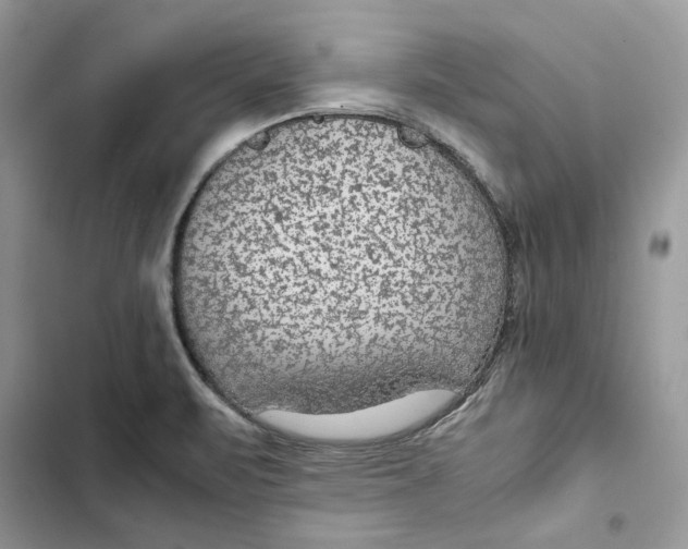 X0000103411471200810031235