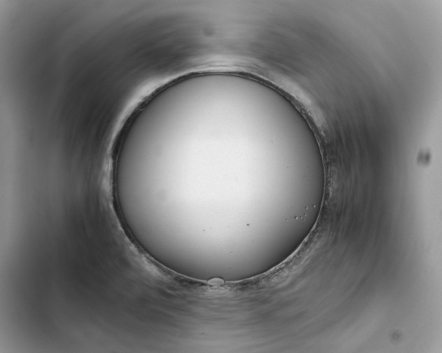 X0000103411472200810031235