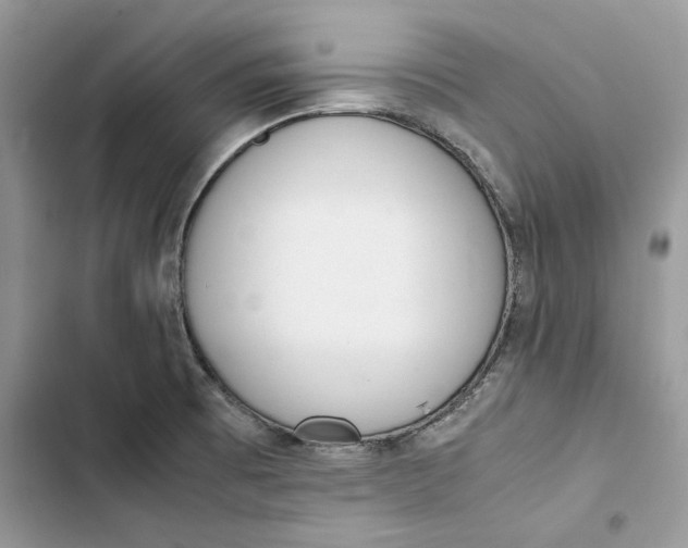 X0000103411473200810031235