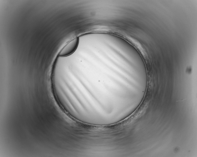 X0000103411475200810031235