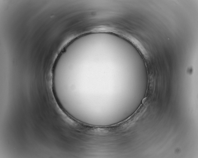 X0000103411476200810031235